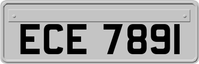 ECE7891