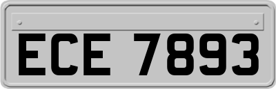 ECE7893