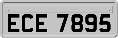 ECE7895