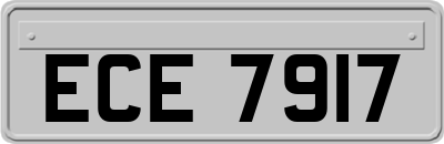 ECE7917