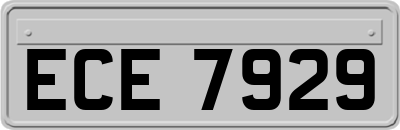 ECE7929