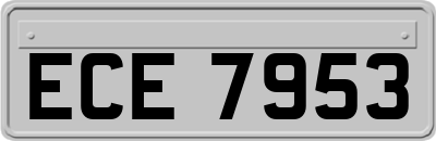 ECE7953