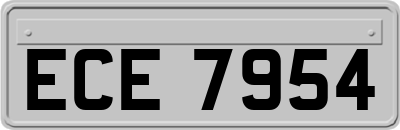 ECE7954
