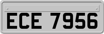 ECE7956