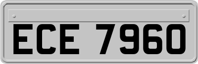 ECE7960