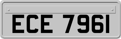 ECE7961