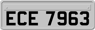 ECE7963