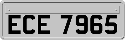 ECE7965
