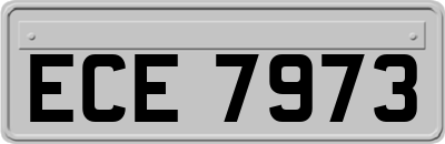ECE7973