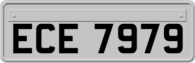 ECE7979