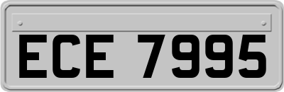 ECE7995