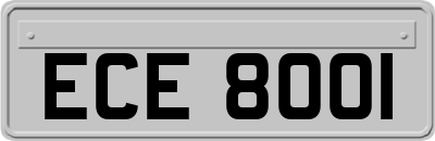 ECE8001