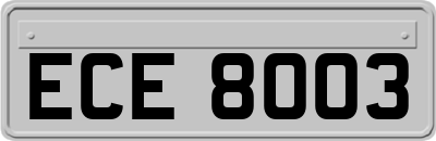 ECE8003