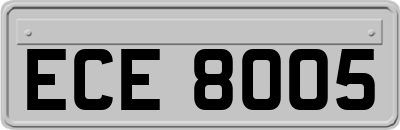 ECE8005