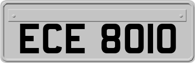 ECE8010