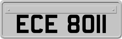 ECE8011