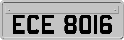 ECE8016