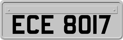 ECE8017