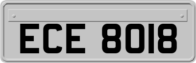 ECE8018