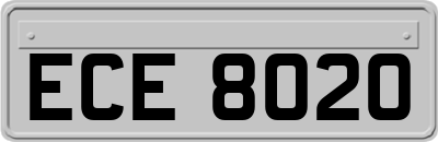 ECE8020