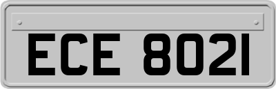 ECE8021