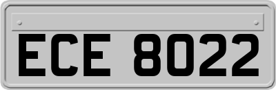 ECE8022