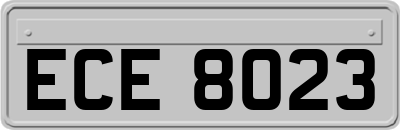 ECE8023