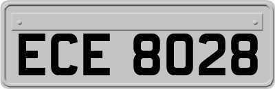 ECE8028