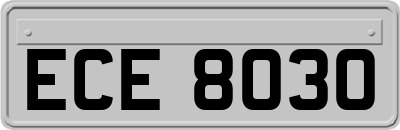 ECE8030