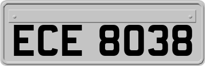 ECE8038