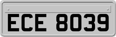 ECE8039