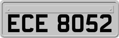 ECE8052