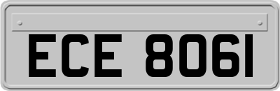 ECE8061
