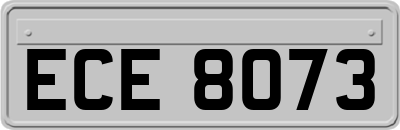 ECE8073