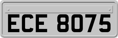 ECE8075