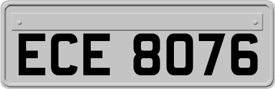 ECE8076
