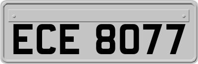 ECE8077