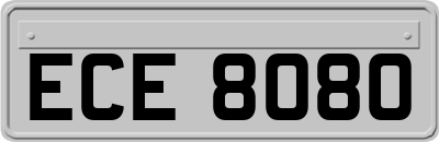 ECE8080