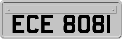 ECE8081