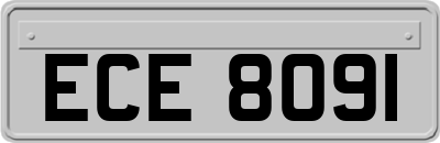 ECE8091