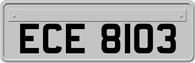 ECE8103