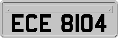 ECE8104