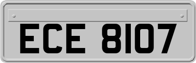 ECE8107