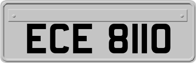 ECE8110