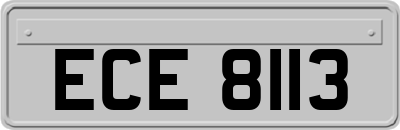 ECE8113