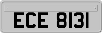 ECE8131