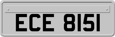 ECE8151