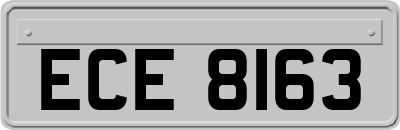 ECE8163