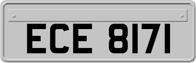 ECE8171