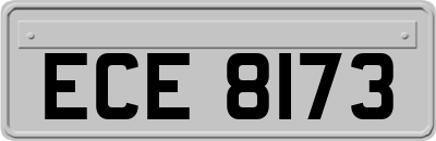 ECE8173